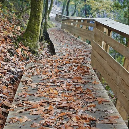 Rural Da Freita 3* Arouca