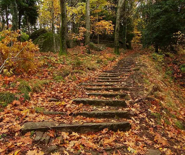 Hotel Rural Da Freita