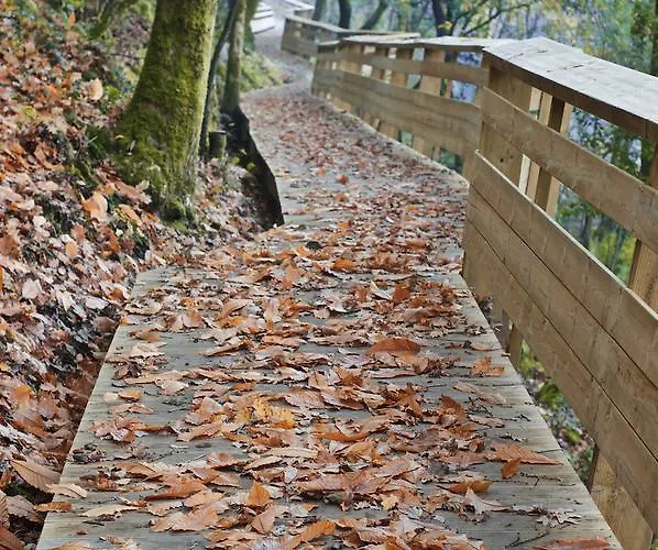 Rural Da Freita 3* ארוקה